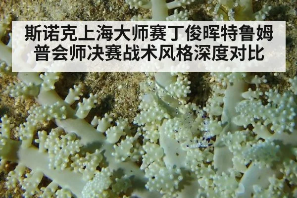 斯诺克上海大师赛丁俊晖特鲁姆普会师决赛战术风格深度对比