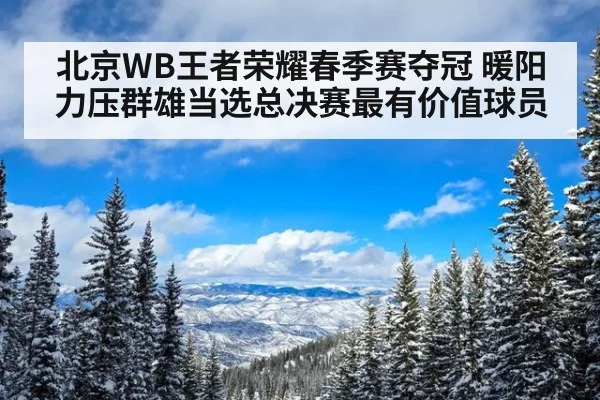 北京WB王者荣耀春季赛夺冠 暖阳力压群雄当选总决赛最有价值球员